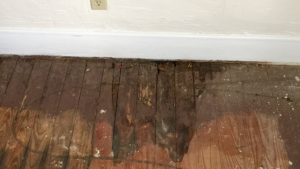 Water damaged floor boards