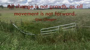 All Change is not Growth.